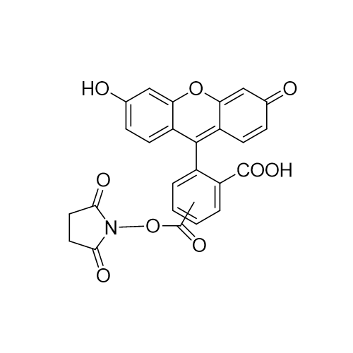 5（6）-羧基荧光素琥珀酰亚胺酯